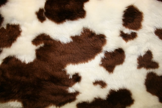 Animal Fur Brown Cow